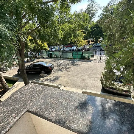 Forrest 艾福雷诺德