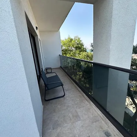 Forrest 艾福雷诺德