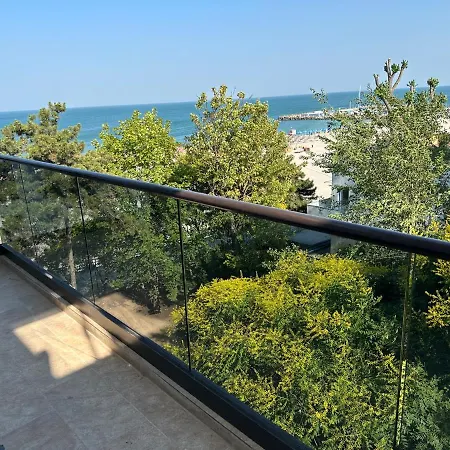 Forrest 艾福雷诺德